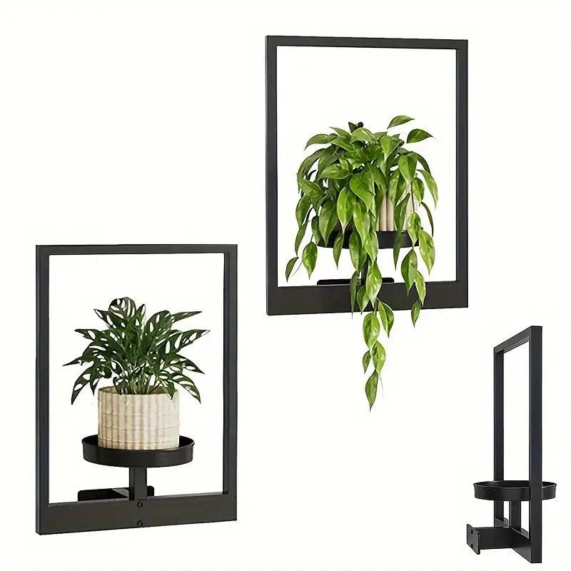 Living Art Plant Frame – Wall Art That Grows