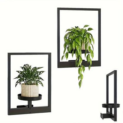 Living Art Plant Frame – Wall Art That Grows