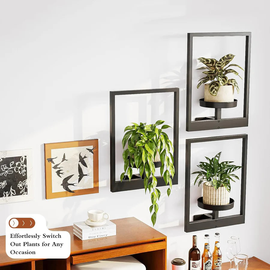 Living Art Plant Frame – Wall Art That Grows