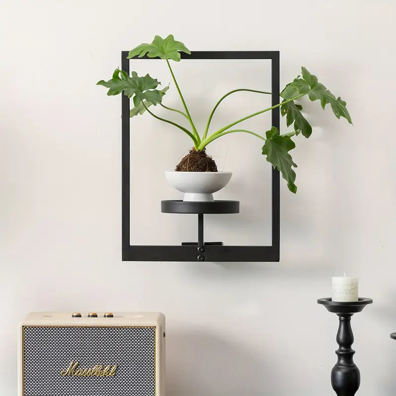 Living Art Plant Frame – Wall Art That Grows