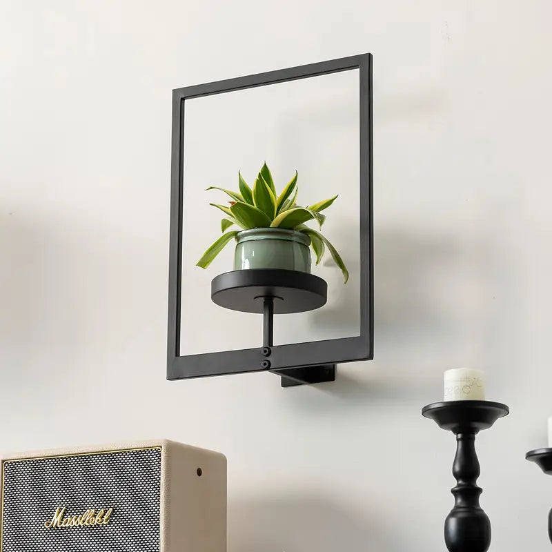 Living Art Plant Frame – Wall Art That Grows