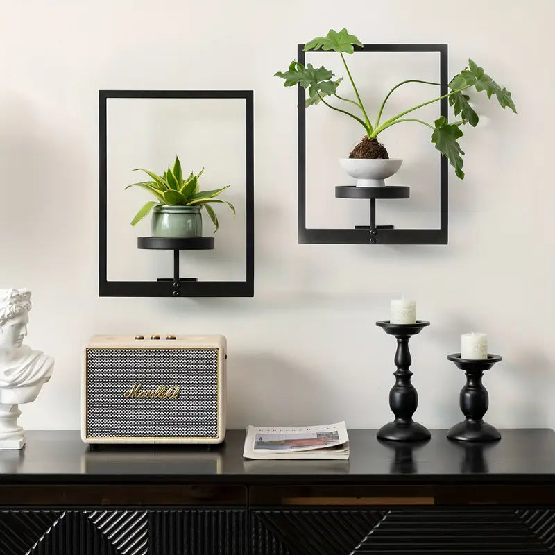 Living Art Plant Frame – Wall Art That Grows