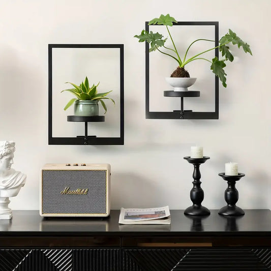 Living Art Plant Frame – Wall Art That Grows