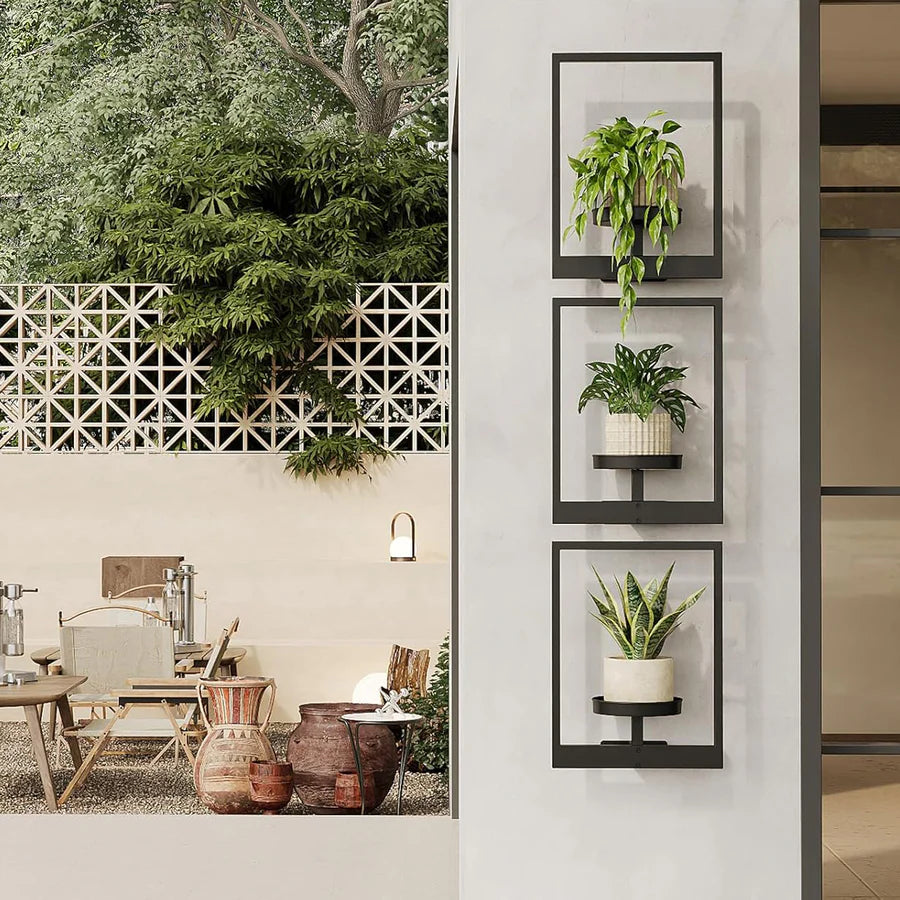 Living Art Plant Frame – Wall Art That Grows