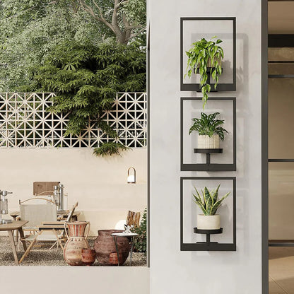 Living Art Plant Frame – Wall Art That Grows