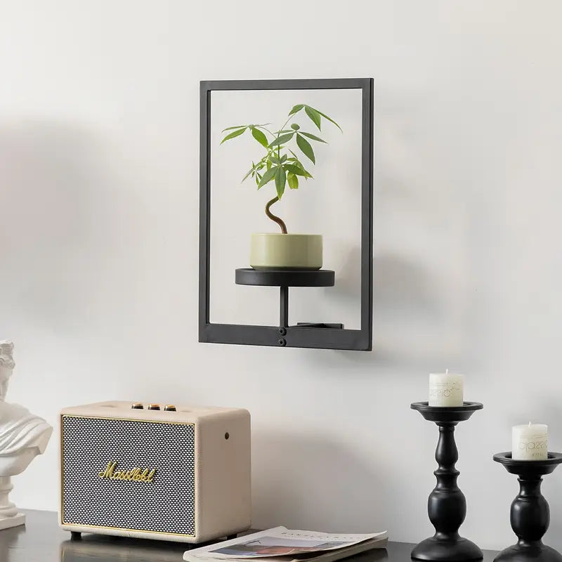 Living Art Plant Frame – Wall Art That Grows