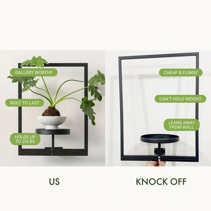 Living Art Plant Frame – Wall Art That Grows